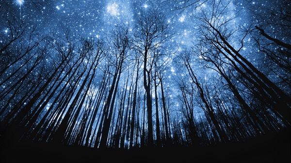 Fanfic / Fanfiction Sky full of stars- MITW - HIATUS