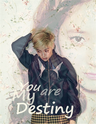 Fanfic / Fanfiction You Are My Destiny