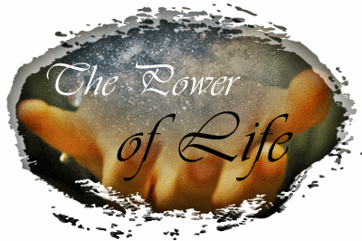 Fanfic / Fanfiction The Power of Life -segunda temporada SAZ