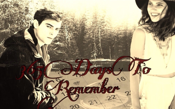 Fanfic / Fanfiction 365 Days To Remember...