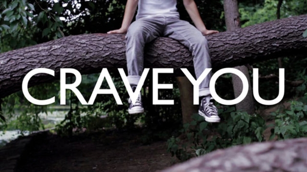 Fanfic / Fanfiction I Crave You