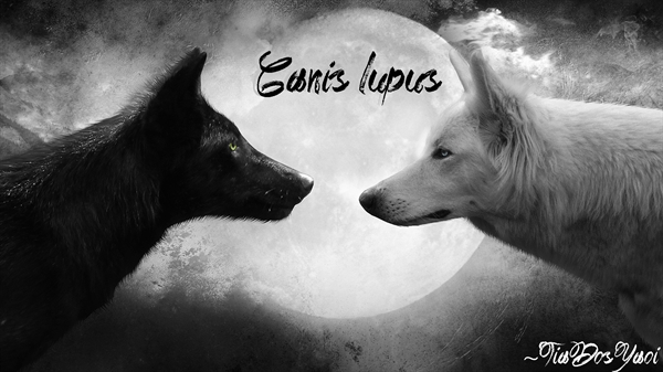 Fanfic / Fanfiction Canis lupus