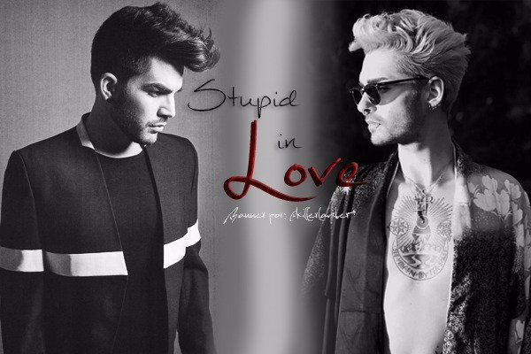 Fanfic / Fanfiction Stupid In Love