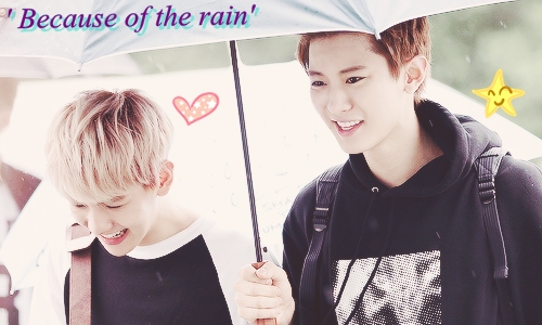 Fanfic / Fanfiction Because of the rain...