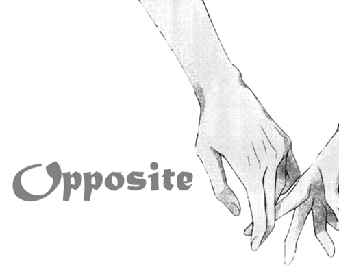 Fanfic / Fanfiction Opposite
