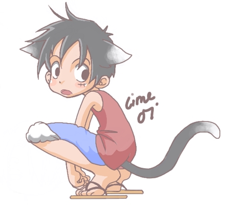 Luffy Neko <3 Meow  Engraçado, Coisas engraçadas