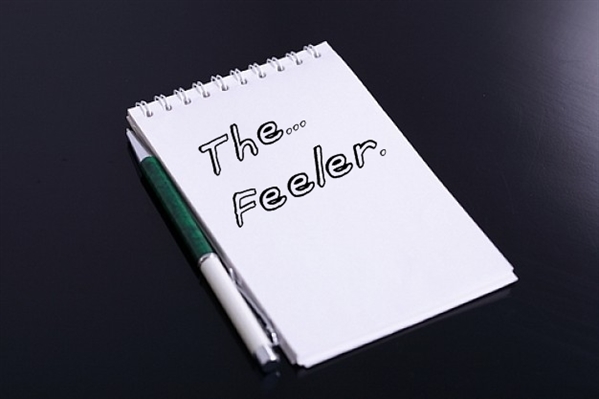 Fanfic / Fanfiction The Feeler