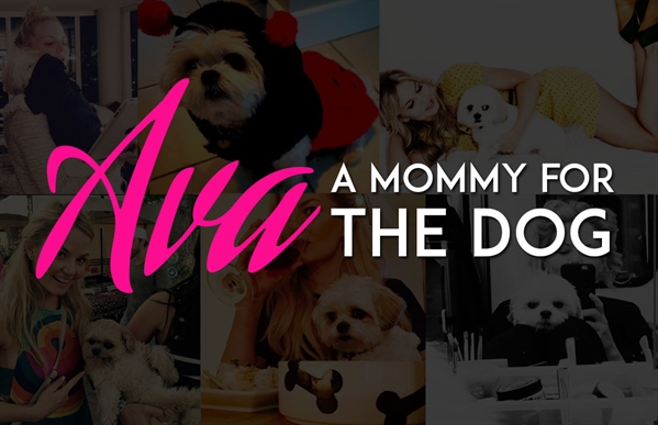 Fanfic / Fanfiction A mommy for Ava the dog