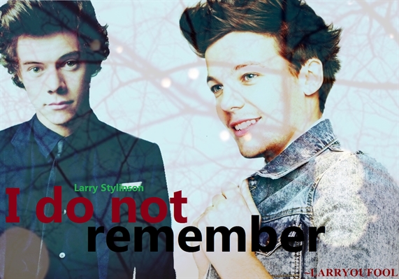Fanfic / Fanfiction I do not remember (Larry Stylinson)