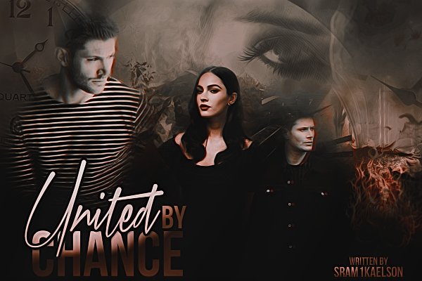 Fanfic / Fanfiction United by chance