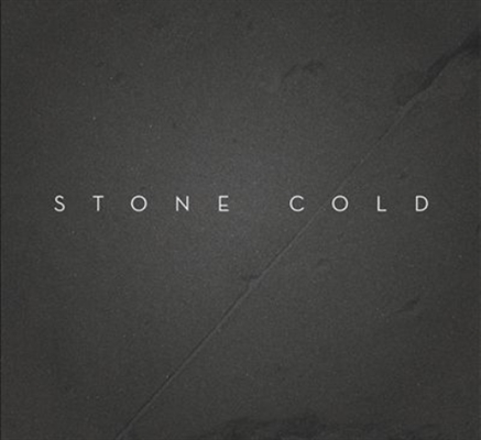 Fanfic / Fanfiction Stone Cold (Hiatus)