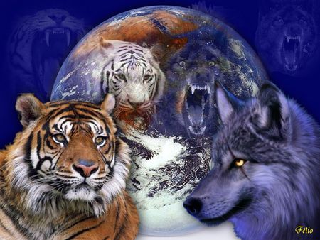 Fanfic / Fanfiction A Guerra entre lobos e tigres: no mundo humano