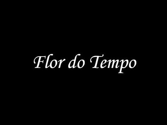 Fanfic / Fanfiction Flor do Tempo