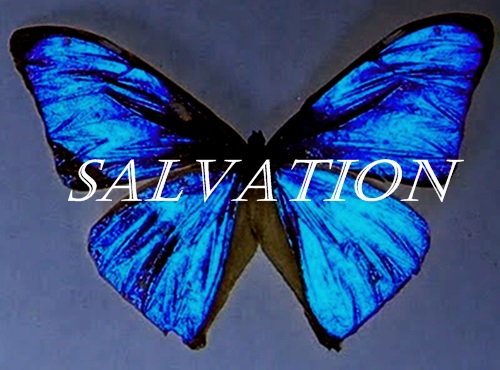 Fanfic / Fanfiction Salvation