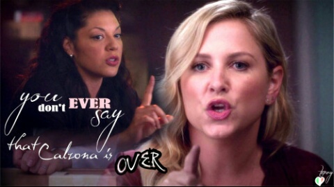Fanfic / Fanfiction Forever Calzona