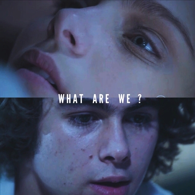 Fanfic / Fanfiction What are we?