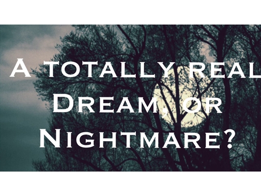 Fanfic / Fanfiction A totally real dream, or nightmare?