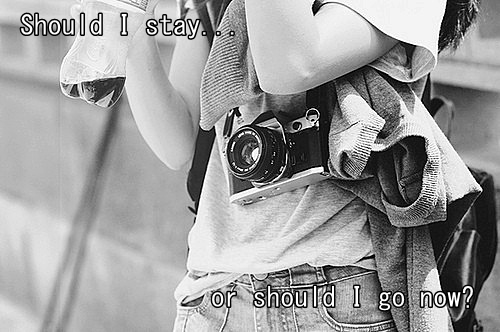 Fanfic / Fanfiction Should I stay or should I go now?