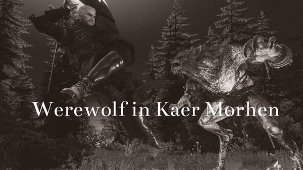 Fanfic / Fanfiction The Witcher: A werewolf in Kaer Morhen