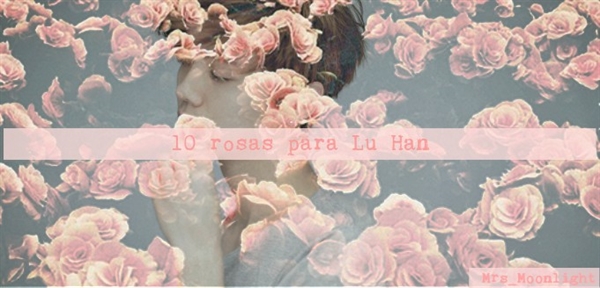 Fanfic / Fanfiction 10 rosas para Lu Han