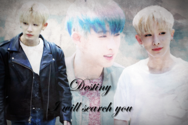 Fanfic / Fanfiction Destiny, I will search you