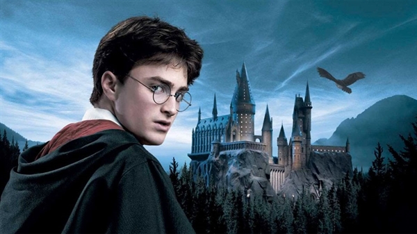 Fanfic / Fanfiction Harry Potter e sua Vida quase (im)perfeita