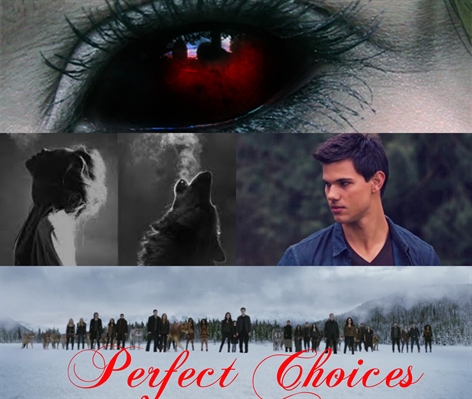 Fanfic / Fanfiction Perfect Choices