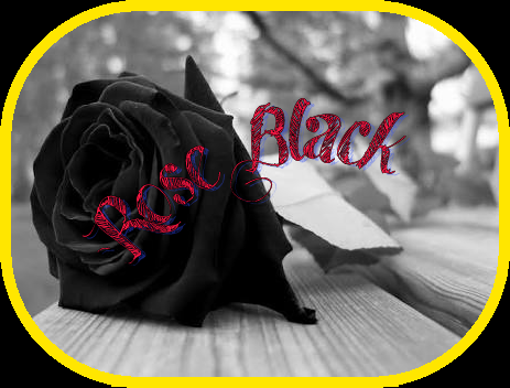 Fanfic / Fanfiction Rosa negra: Darkannia