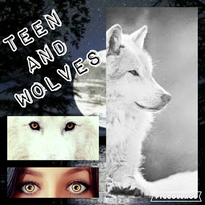 Fanfic / Fanfiction Teen and Wolves