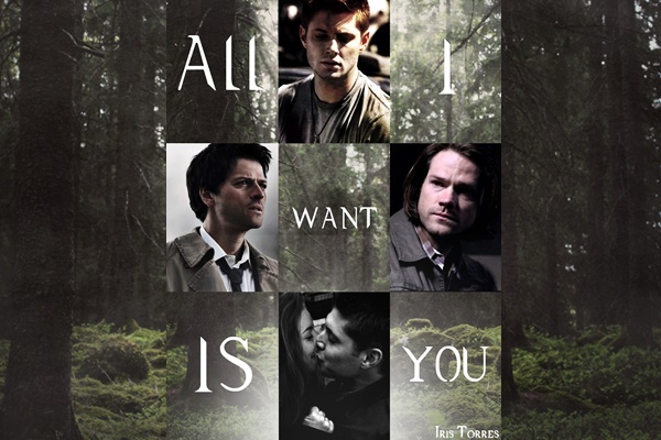 Fanfic / Fanfiction All I want is you