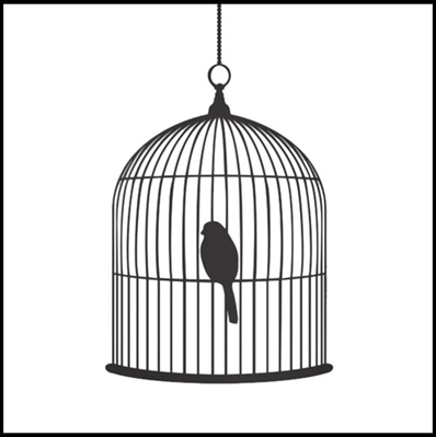 Fanfic / Fanfiction Caged Bird