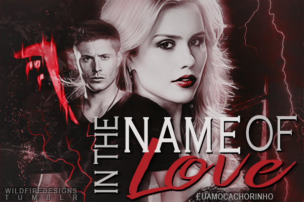 Fanfic / Fanfiction In The Name Of Love - Hiatus