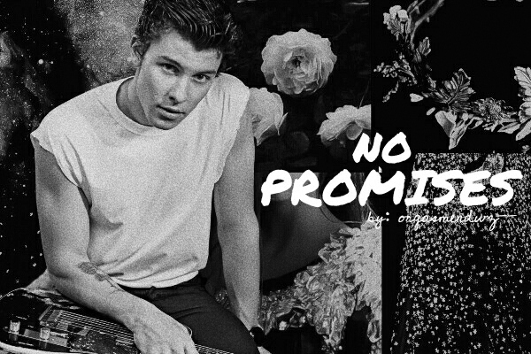 Fanfic / Fanfiction NO PROMISES •|Shawn Mendes|•