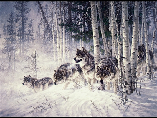 Fanfic / Fanfiction Pack of Wolves Winter