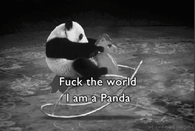 Fanfic / Fanfiction Panda