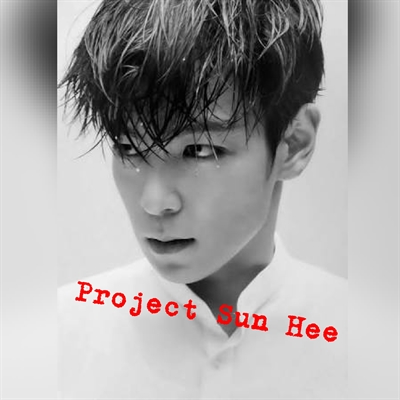 Fanfic / Fanfiction Project Sun Hee