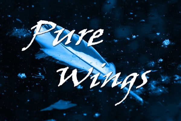 Fanfic / Fanfiction Pure Wings