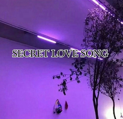 Fanfic / Fanfiction Secret Love Song
