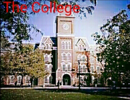 Fanfic / Fanfiction The College