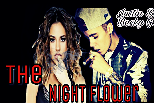 Fanfic / Fanfiction The Night Flower