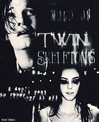 Fanfic / Fanfiction Twin Skeleton's