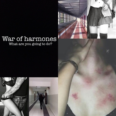 Fanfic / Fanfiction War of harmones