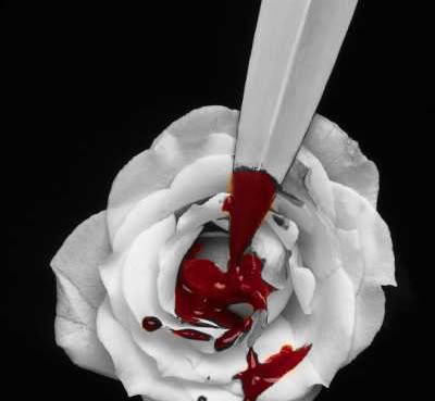 Fanfic / Fanfiction Blood rose
