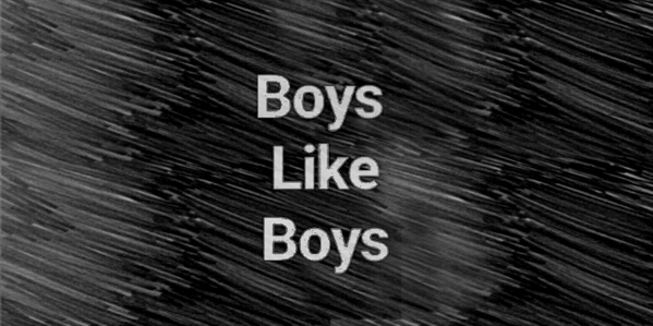 Fanfic / Fanfiction Boys Like Boys