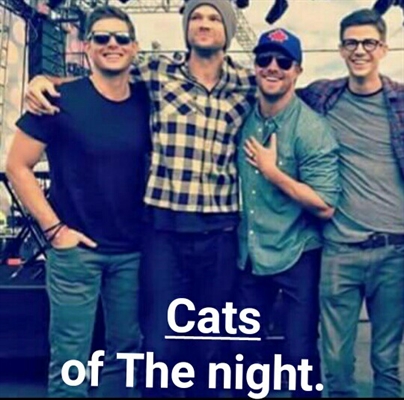 Fanfic / Fanfiction Cats of the night.