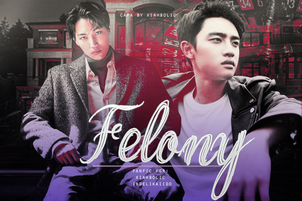 Fanfic / Fanfiction Felony