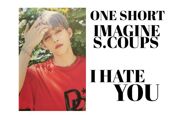 Fanfic / Fanfiction I Hate You! -Imagine S.Coups