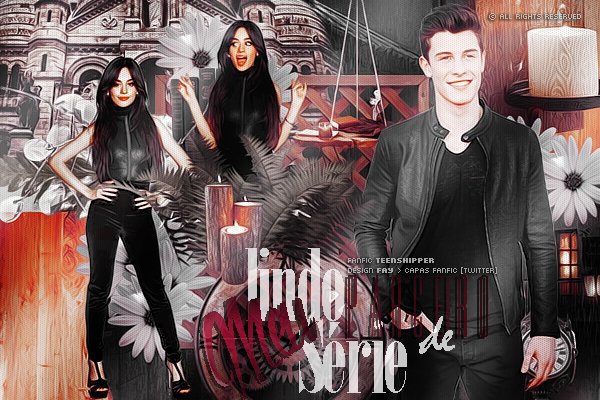 Fanfic / Fanfiction Meu lindo parceiro de série - Shawmila