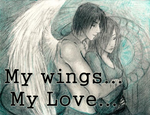 Fanfic / Fanfiction My Wings...My Love...
