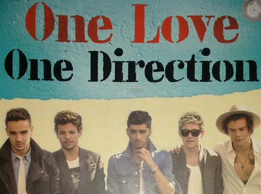 Fanfic / Fanfiction One Love One Direction